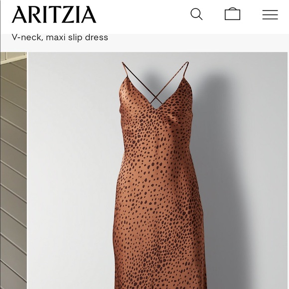 Aritzia: Wilfred ONLY Maxi slip dress